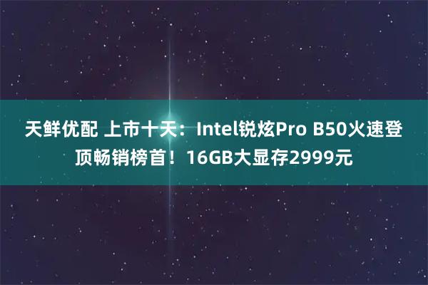 天鲜优配 上市十天：Intel锐炫Pro B50火速登顶畅销榜首！16GB大显存2999元