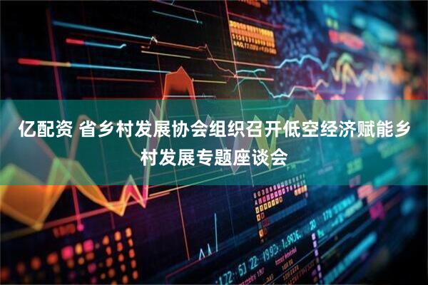 亿配资 省乡村发展协会组织召开低空经济赋能乡村发展专题座谈会