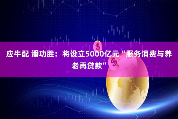 应牛配 潘功胜：将设立5000亿元“服务消费与养老再贷款”