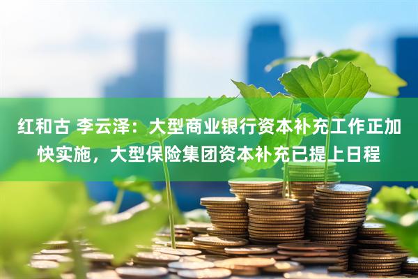红和古 李云泽：大型商业银行资本补充工作正加快实施，大型保险集团资本补充已提上日程