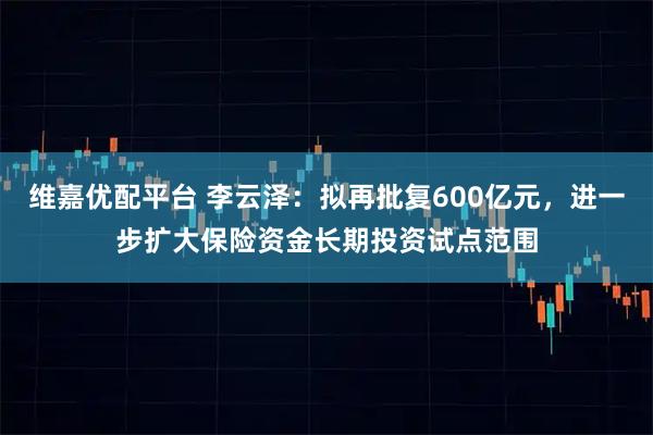维嘉优配平台 李云泽：拟再批复600亿元，进一步扩大保险资金长期投资试点范围