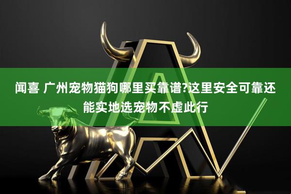 闻喜 广州宠物猫狗哪里买靠谱?这里安全可靠还能实地选宠物不虚此行