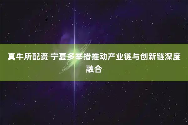 真牛所配资 宁夏多举措推动产业链与创新链深度融合