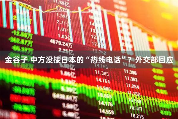 金谷子 中方没接日本的“热线电话”？外交部回应