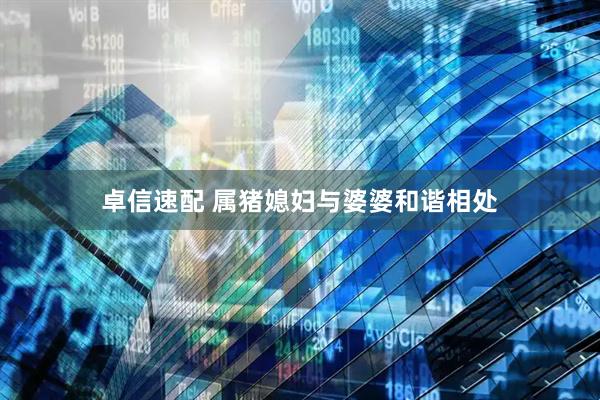 卓信速配 属猪媳妇与婆婆和谐相处