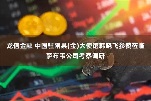 龙信金融 中国驻刚果(金)大使馆韩晓飞参赞莅临萨布韦公司考察调研