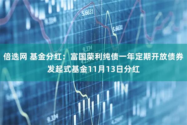 倍选网 基金分红：富国荣利纯债一年定期开放债券发起式基金11月13日分红